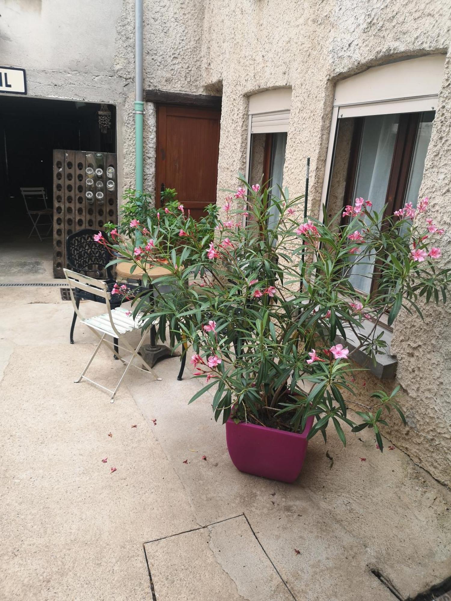 הוטווילר Cottage Au Terminus מראה חיצוני תמונה